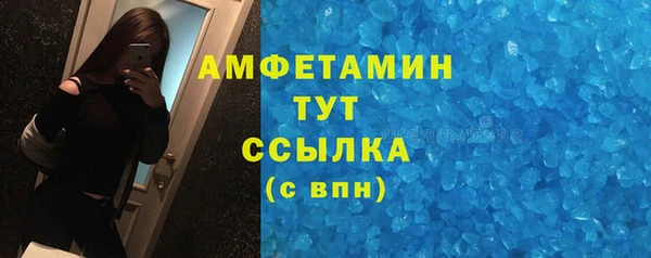 прущие грибы Покров