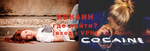 прущие грибы Покров