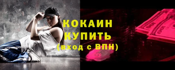 сатива Покачи