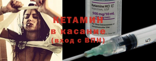 сатива Покачи