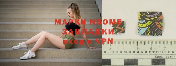 прущие грибы Покров