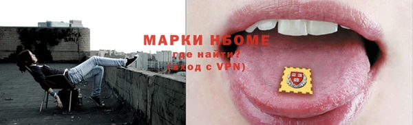 сатива Покачи
