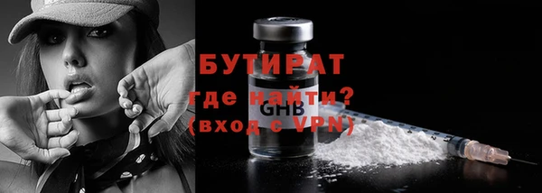сатива Покачи