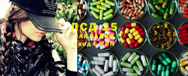 прущие грибы Покров