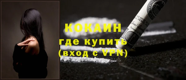 прущие грибы Покров
