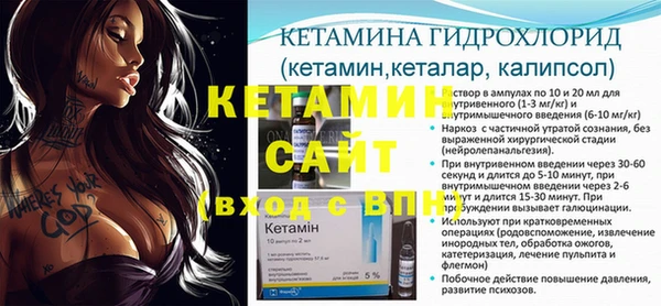 прущие грибы Покров