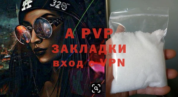 сатива Покачи