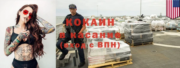 прущие грибы Покров