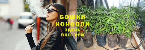 прущие грибы Покров