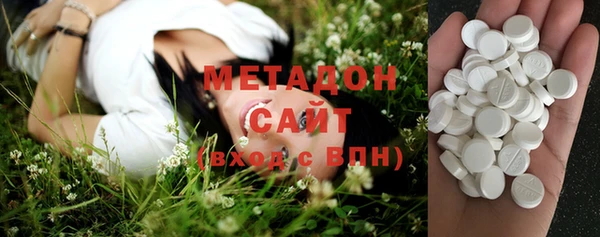 прущие грибы Покров