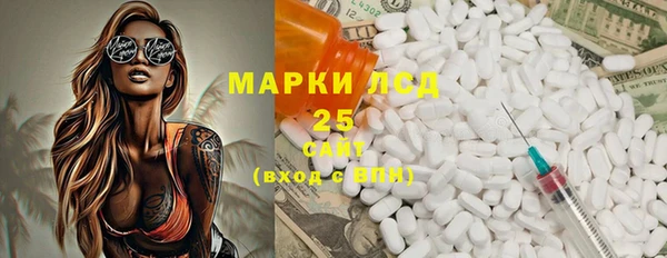 сатива Покачи
