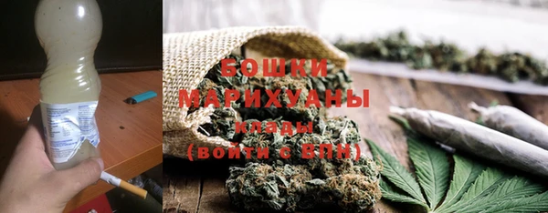 сатива Покачи