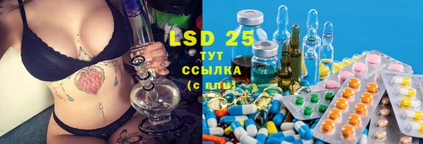 прущие грибы Покров
