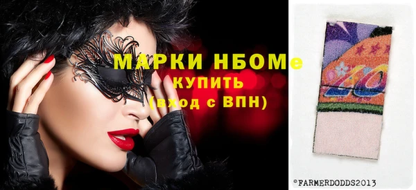 сатива Покачи