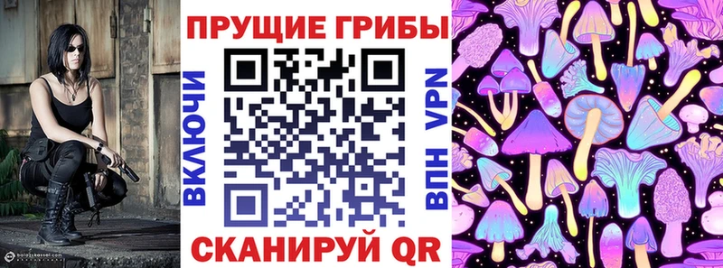 хочу наркоту  Луховицы  Псилоцибиновые грибы Magic Shrooms 
