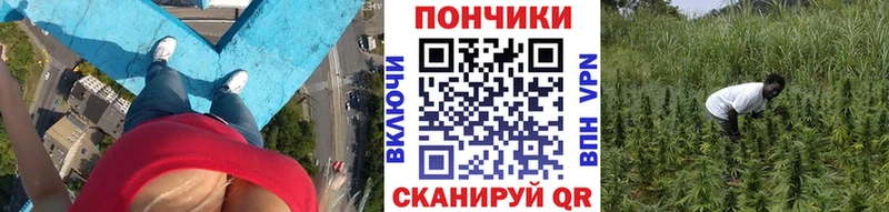 Бошки марихуана Ganja  blacksprut маркетплейс  Луховицы 